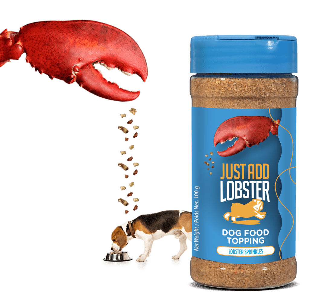 Lobster claw sprinkling Just Add Lobster Topping in a bowl for a dog